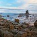 Saltwick Bay 210209_4